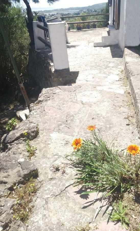 Ca Da Marta Q4526 Βίλα Carloforte  Εξωτερικό φωτογραφία