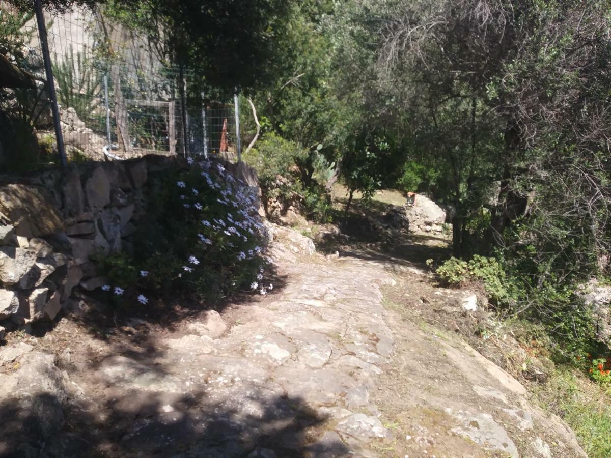 Ca Da Marta Q4526 Βίλα Carloforte  Εξωτερικό φωτογραφία