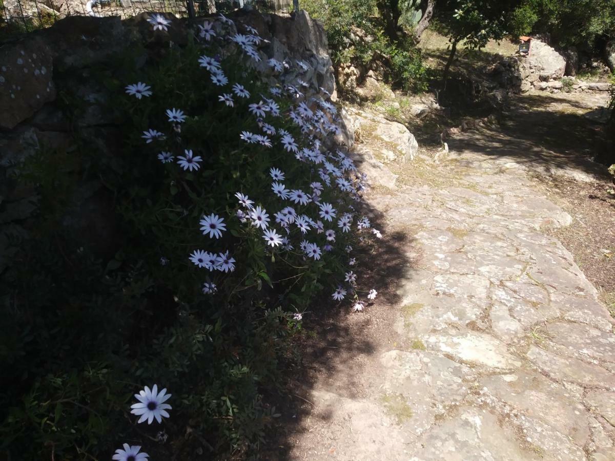 Ca Da Marta Q4526 Βίλα Carloforte  Εξωτερικό φωτογραφία